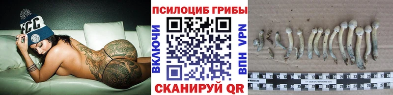 дарк нет наркотические препараты  продажа наркотиков  Харабали  Псилоцибиновые грибы Psilocybine cubensis 